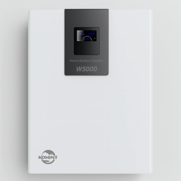 Batería litio Kowint 51.2V 100Ah 5.12kWh pared WIFI BMS